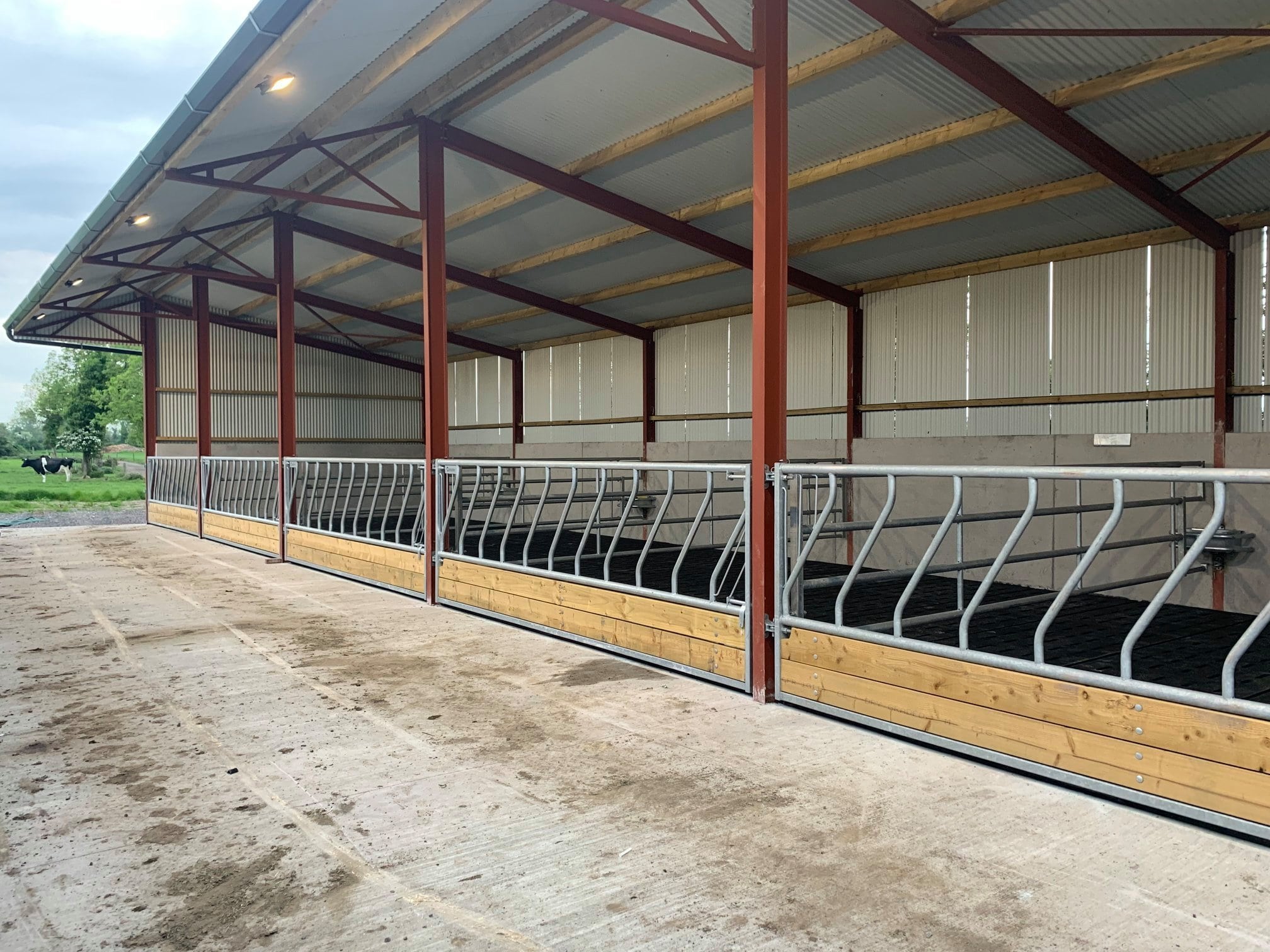 Cattle Housing Equipment