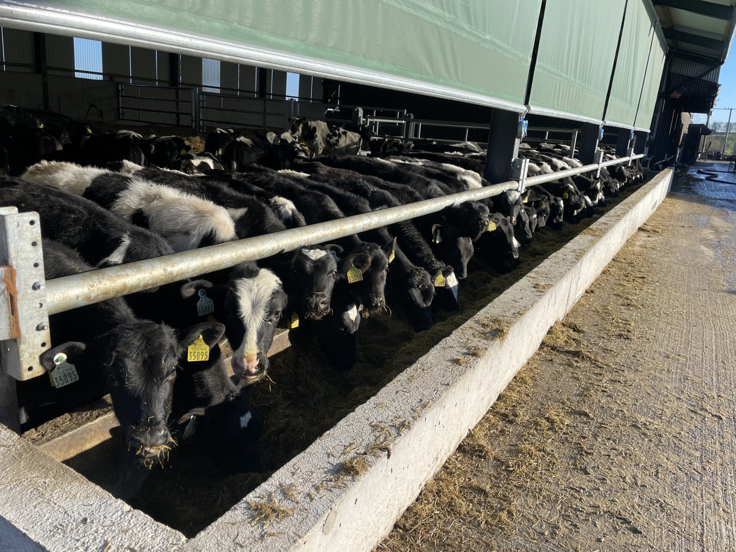 Single Bar Feed Rail Barrier