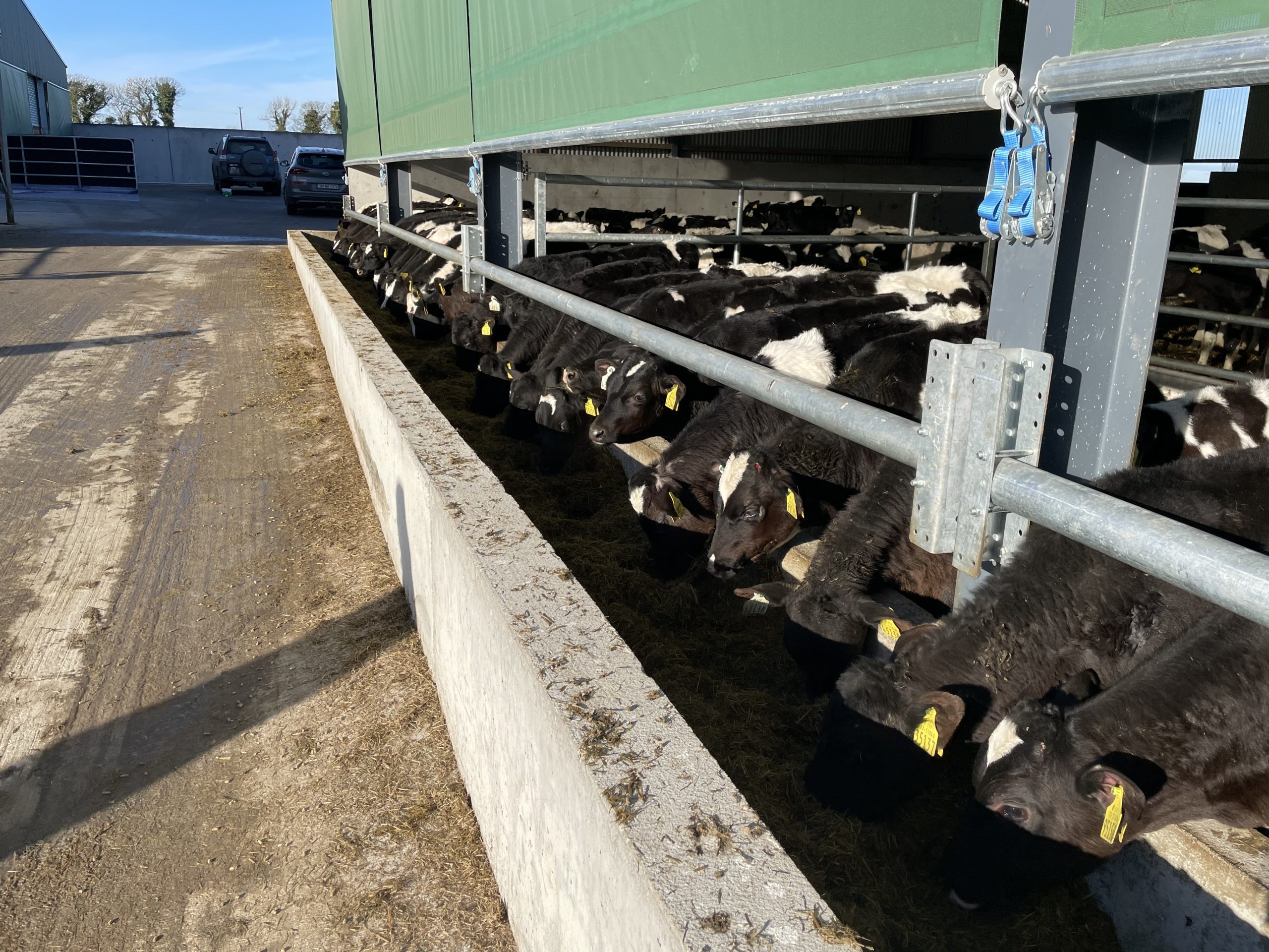 Single Bar Feed Rail Barrier - Image 3