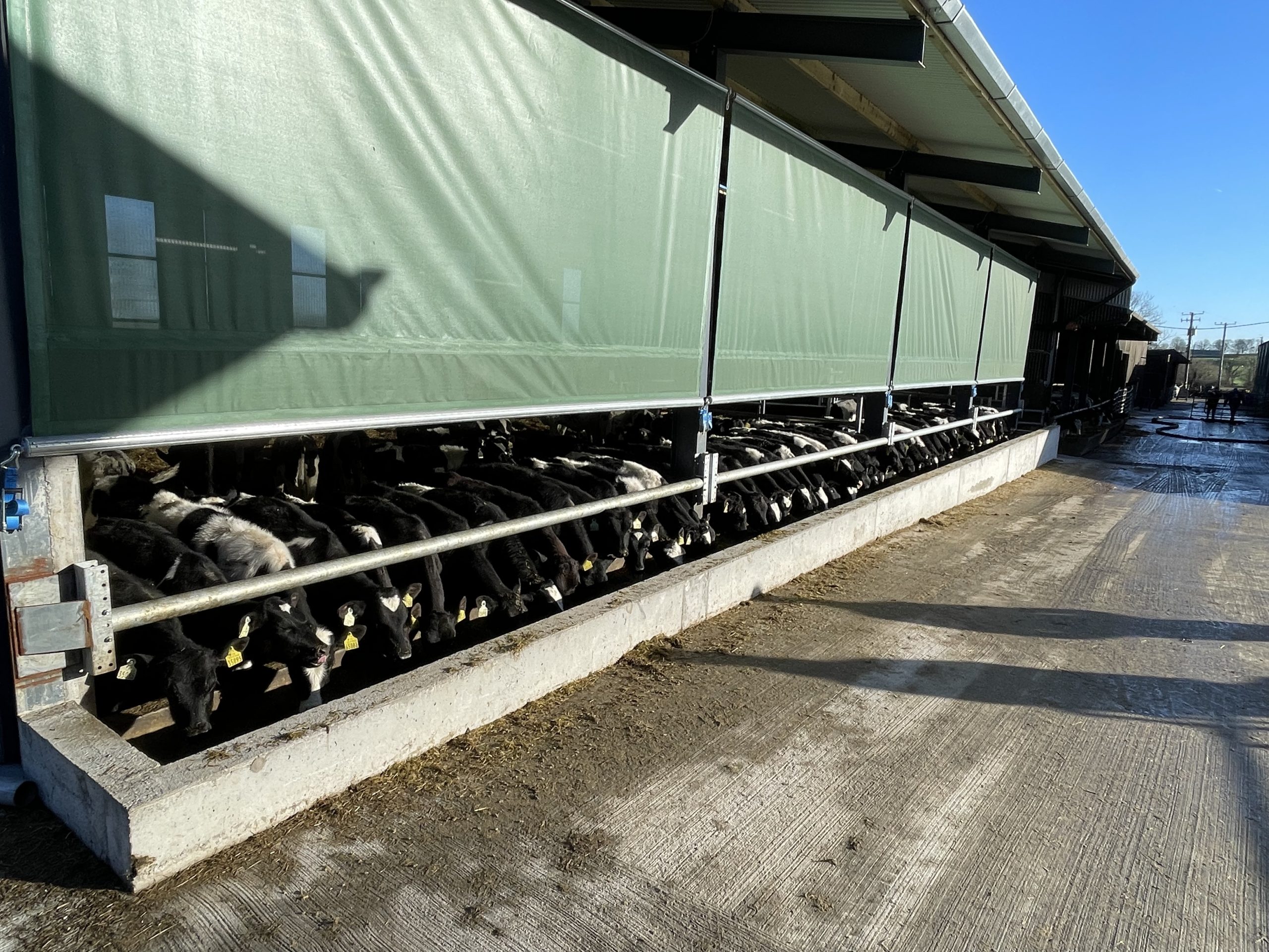 Single Bar Feed Rail Barrier - Image 4